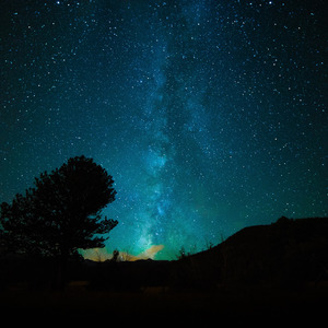 男人日女人逼视频
